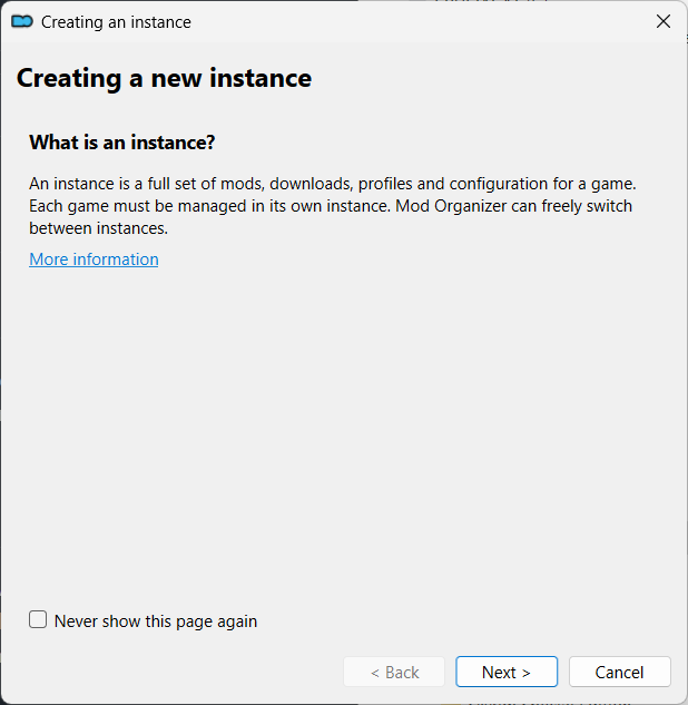 What is an instance?